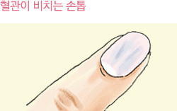 혈관이 비치는 손톱이미지