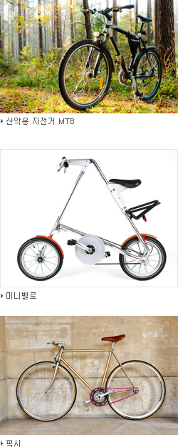 산악용 자전거 MTB,미니벨로, 픽시 등 자전거의 사진