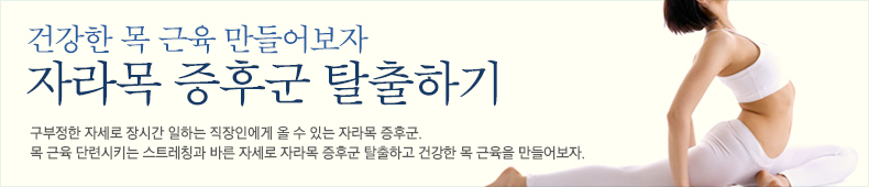 구부정한 자세로 장시간 일하는 직장인에게 올 수 있는 자라목 증후군. 목 근육 단련시키는 스트레칭과 바른 자세로 자라목 증후군 탈출하고 건강한 목 근육을 만들어보자