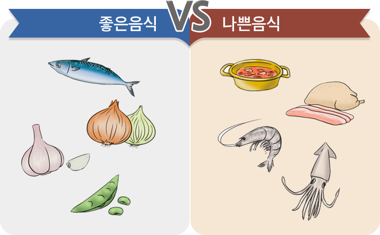 좋은음식 생선 마늘 양파 콩 대 나쁜음식 찌개 고기 새우 오징어