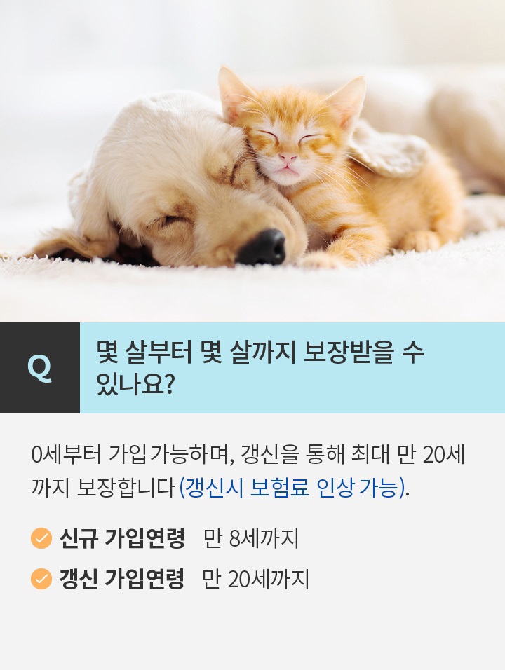 Q 몇 살부터 몇 살까지 보장받을 수 있나요? 0세부터 가입 가능하며, 갱신을 통해 최대 만 20세까지 보장합니다(갱신시 보험료 인상가능). 최근 강아지와 고양이도 노령화가 진행되고 있기 때문입니다.