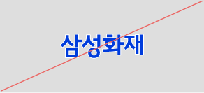 오용 사례 (Incorrect Usage) CI에 테두리를 적용한 경우