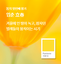 SFMI Pantone 108 U 보조색상 이미지