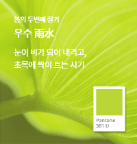 SFMI Pantone 381 U 보조색상 이미지