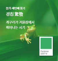 SFMI Pantone 2257 U 보조색상 이미지