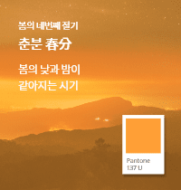 SFMI Pantone 137 U 보조색상 이미지