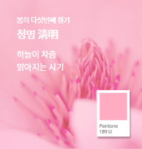 SFMI Pantone 189 U 보조색상 이미지