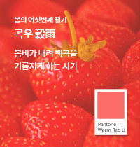 SFMI Pantone Warm Red U 보조색상 이미지