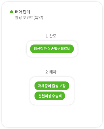 0.태아단계